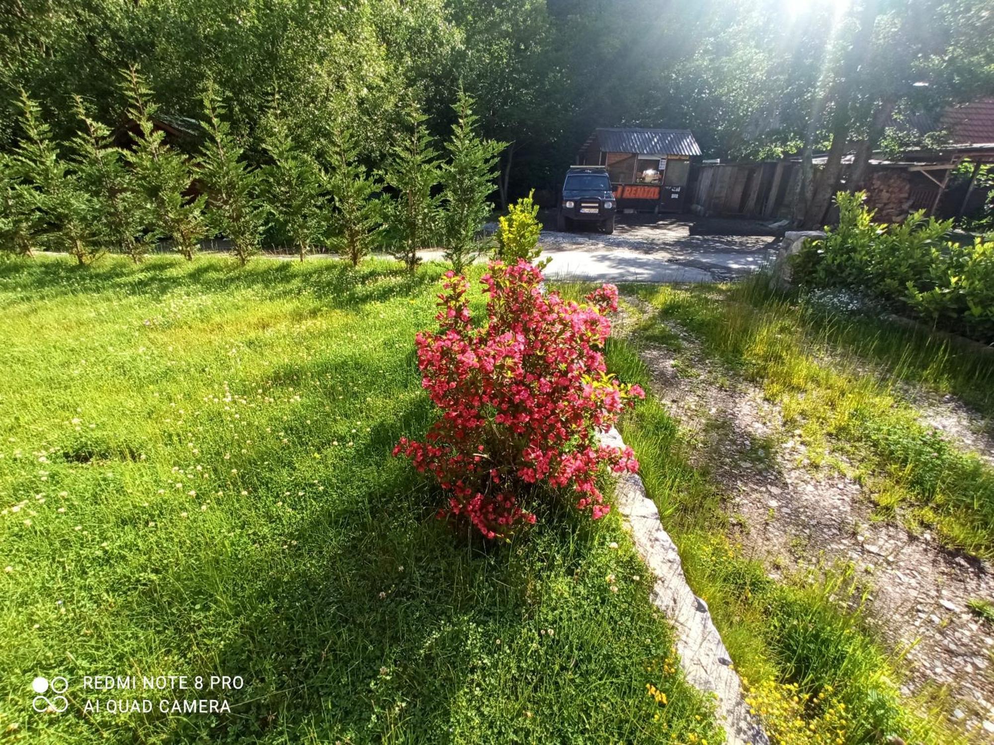 Holiday Home Ivana Колашин Экстерьер фото